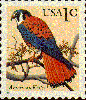 American Kestrel postage stamp - see them bird-watching in Washington State