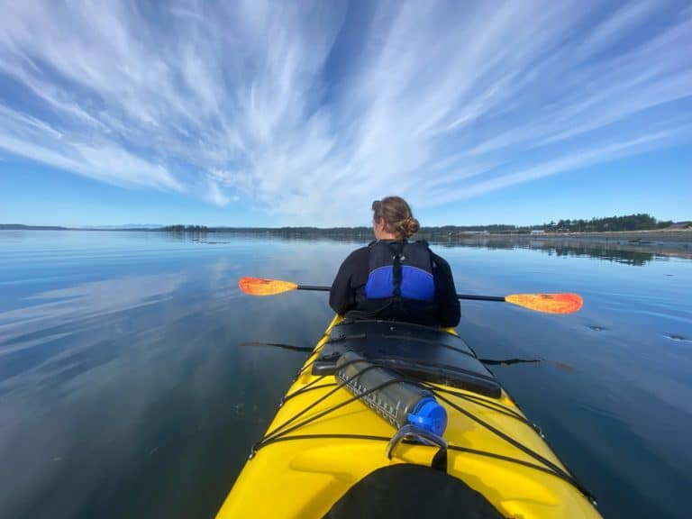 kayak rentals in friday harbor offer awesome views of sea and sky