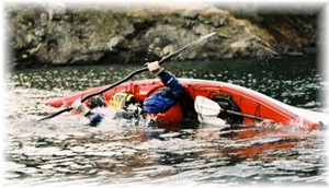 Improve sea kayaking skills as a kayak guide at Sea Quest Kayak Tours