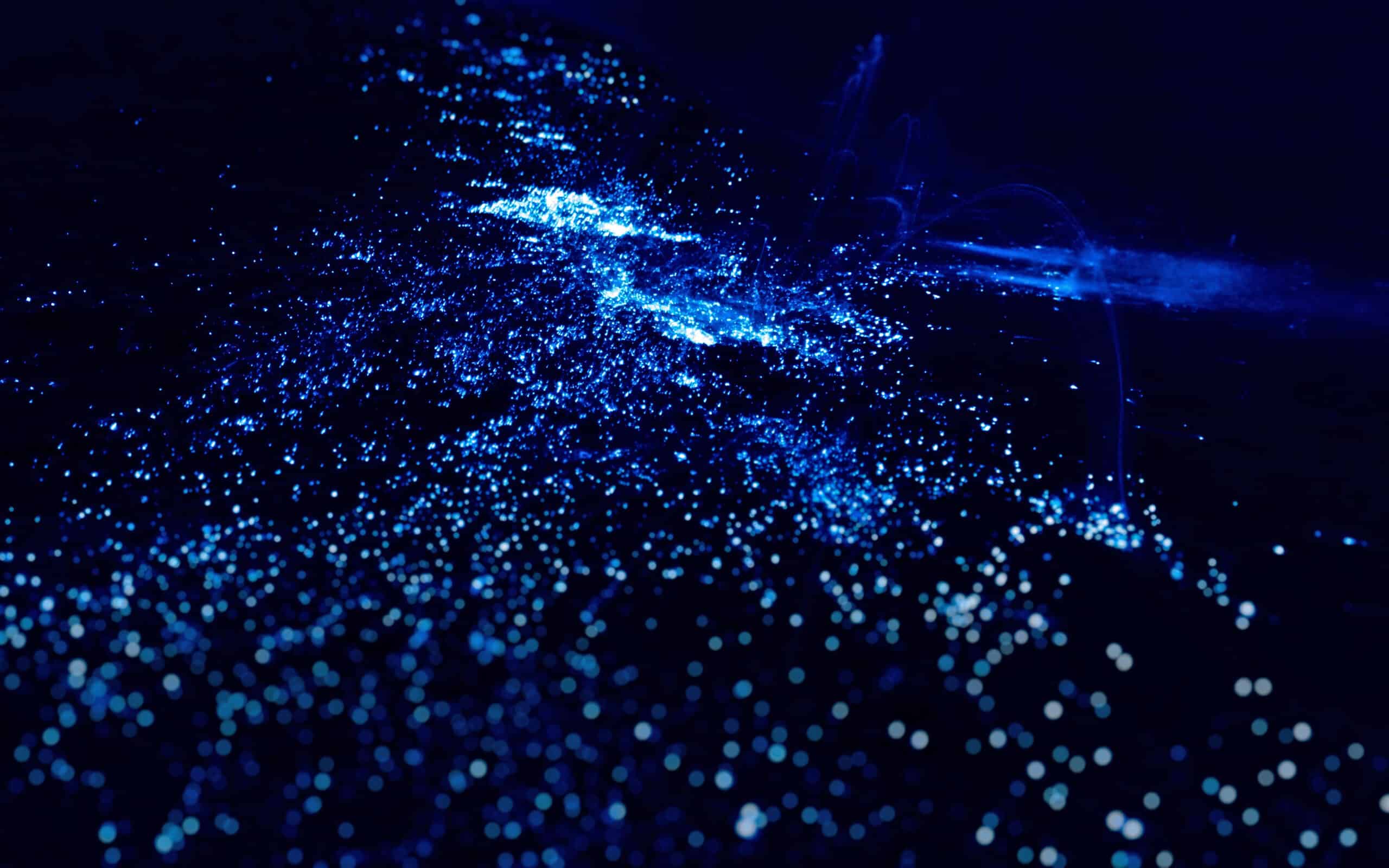 bioluminescence kayak tour san juan islands