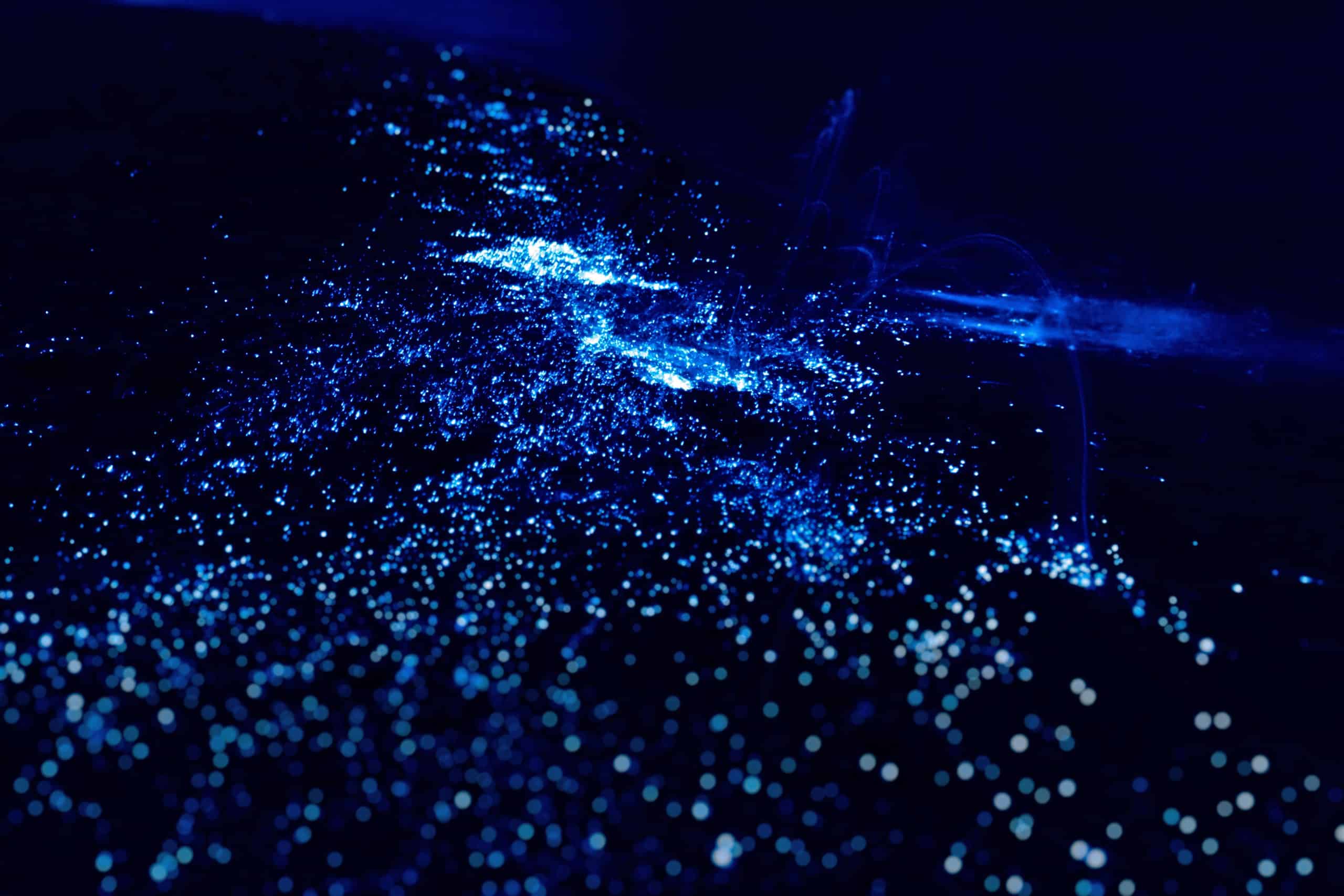 bioluminescence-san-juan-islands