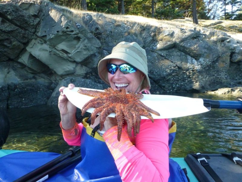 kayaking with orcas and sea stars on a kayak tour in the san juans